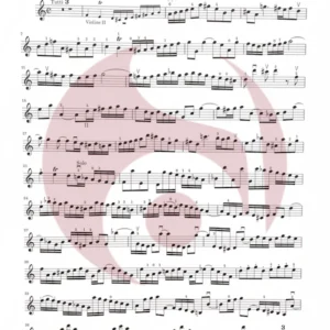 Concierto para 2 Flautas en Re menor de J S Bach