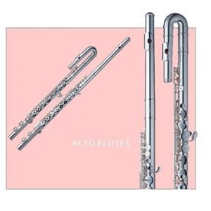 Instrumentos