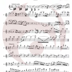 Fantasía in Do Mayor op 159 de Schubert