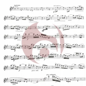 Andante y Rondo para Flauta de Doppler