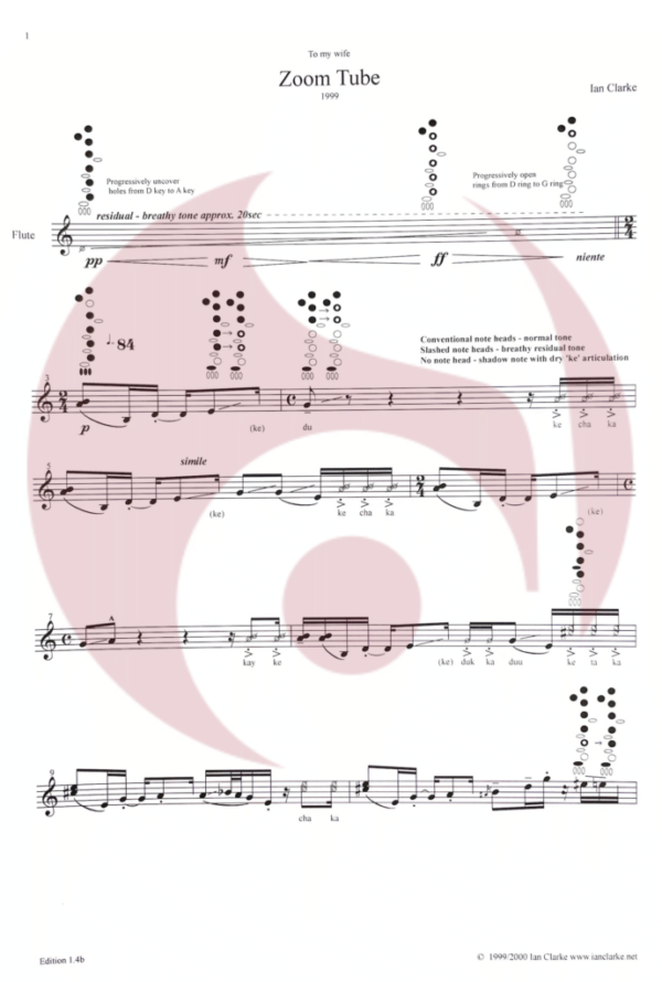 Zoom tube para Flauta de Ian Clarke