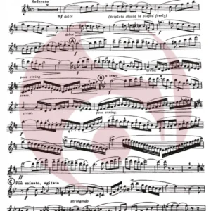 Concertino para Flauta op 107 de Chaminade
