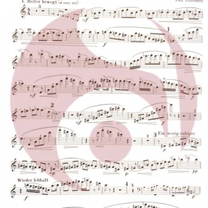 Sonata para Flauta de Hindemith