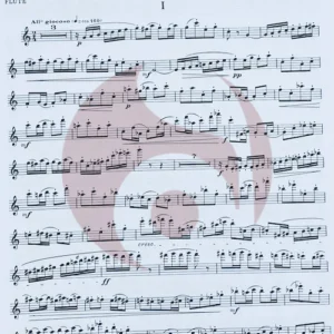 Sonata para Flauta de Feld