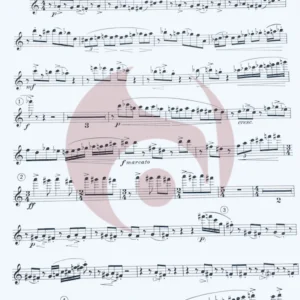 Sonata para Flauta de Muczynski