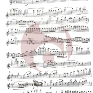 Sonata para Flauta de Taktakishvili