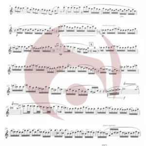 Concierto para flauta de Carl Nielsen