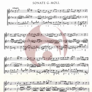 Sonatas metódicas I para Flauta de Telemann