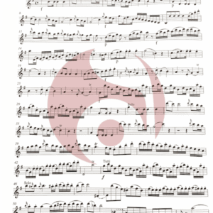 concierto mozart sol mayor flauta