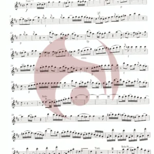 Concierto en Re Mayor KV 314 para Flauta de Mozart