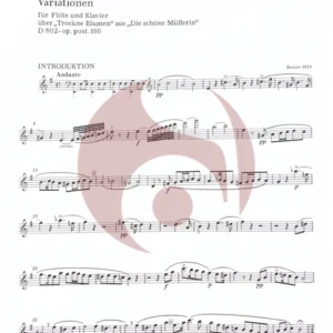 Variaciones para Flauta sobre Trocke Blumen de Schubert