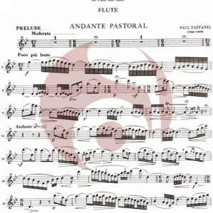 Sonata para Flauta de Feld
