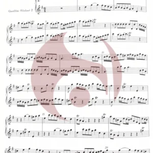 6 Sonatas canónicas para 2 Flautas de Telemann