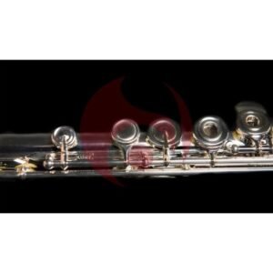 MIYAZAWA PB 203 RE