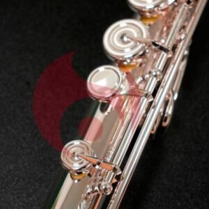 MIYAZAWA: PB 202 R