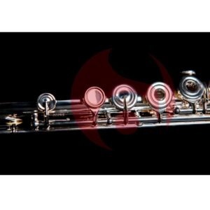 MIYAZAWA PB 202 RE