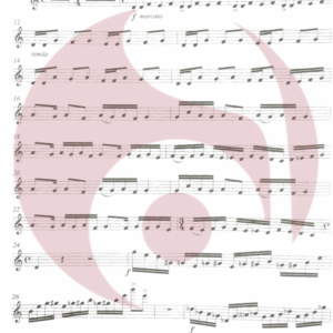Concierto para Flauta de Khachaturian