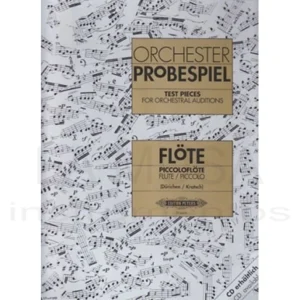 Orchester Probespiel Flauta