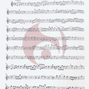 Concierto re menor Bach