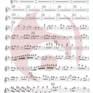 Concierto Rossetti flauta