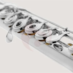 HAYNES FLUTES