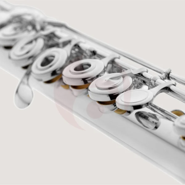 HAYNES FLUTES