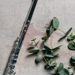 JUPITER FLUTES