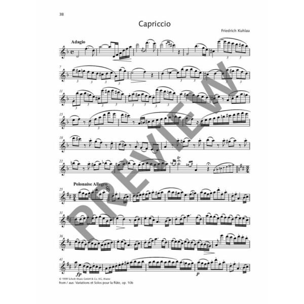 The Best of flute solos