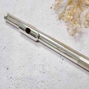 Cabezas de Plata