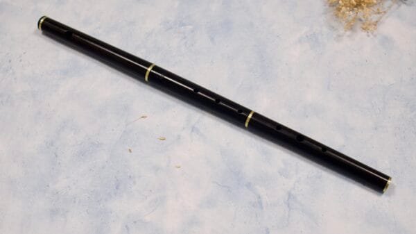 Flauta Tony Dixon DX030
