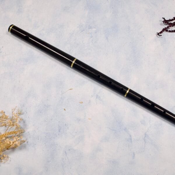 Flauta Tony Dixon DX030